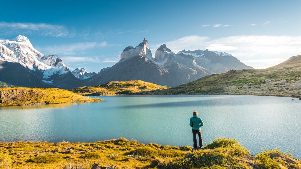 Plantas vasculares creciendo en el suelo de la Antártida