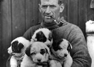 Shackleton y la odisea del Endurance